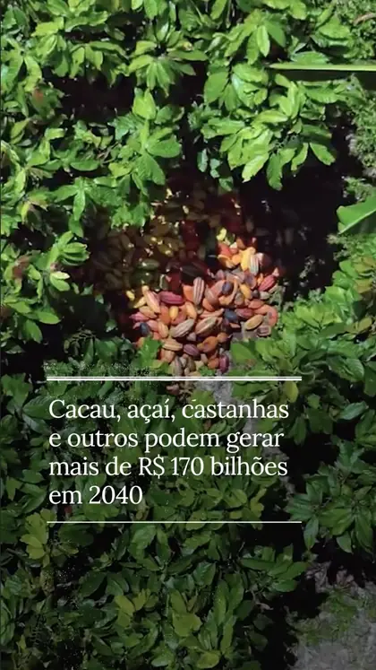 Bioeconomia