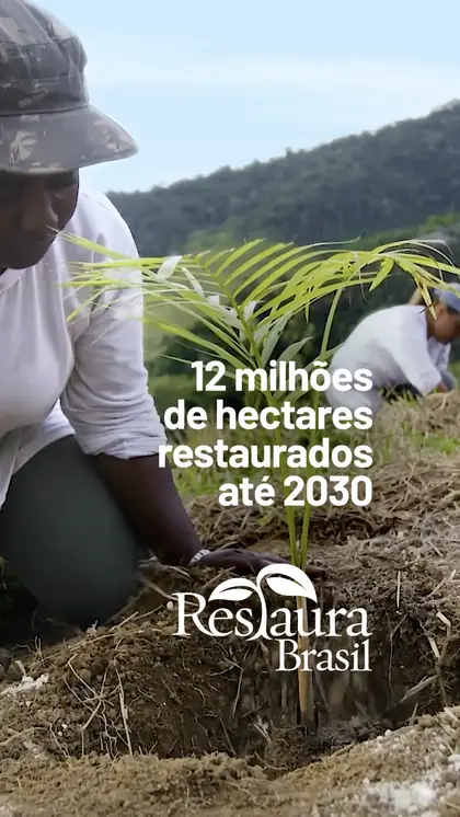 Restaura Brasil